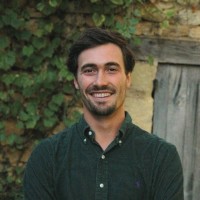 Daan Verhoeff