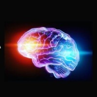 Luminous Minds Project