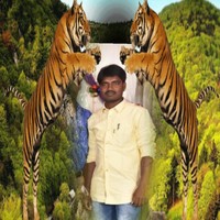 Balakrishna P G Balu