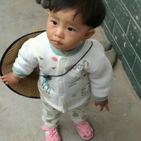 李振磊