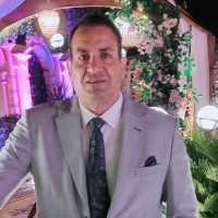 Medhat Fathi Ali