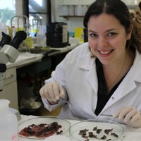 Dr Narelle Dybing