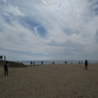 오우야