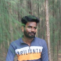 Naveen Kumar Reddy Pothu