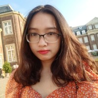 Ngan Vo