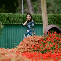 Nguyen Le Minh