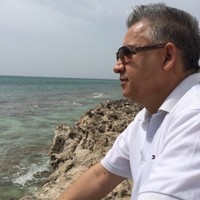 Mohammad Reza Soltanian