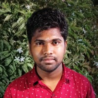 Dinesh Raja M
