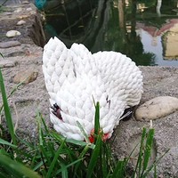 李立福