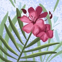 cindel evelin ramos vargas