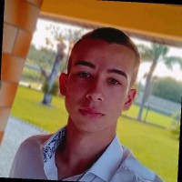 Vitor Martins Borges