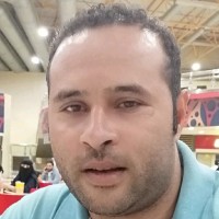 حسن السيد
