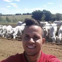 Alessandro Matheus
