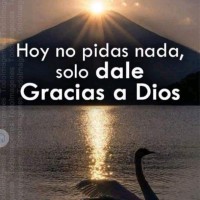 Andres Perdomo