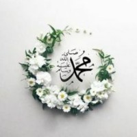 I Love Mohammad