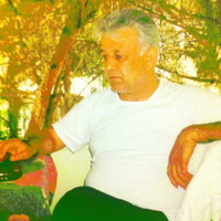 selim çetiner