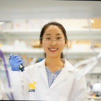 Ce Wang