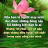 tran quang  phu