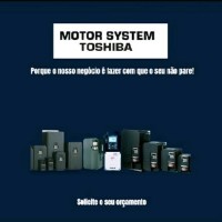 Motor System