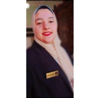 Nourhaan Mohsen