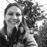 Stacey Lorenz