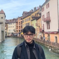 Viet Hung Nguyen