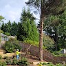 Jc Landscaping Llc