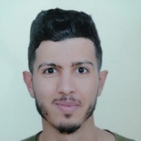 Hamdi Mannai