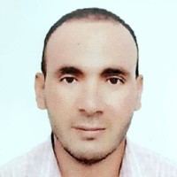 Reda Abdalla Heikal