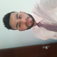 Julio Botelho