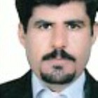 abbas bahadori