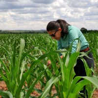 Ana Claudia Gimenez Gimenez