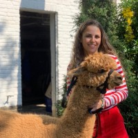 Nikita Van Den Dolder