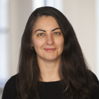 Iulia Ionescu