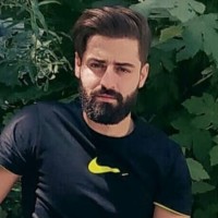Hadi Lavasanikia