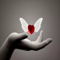 Khaleed Anory