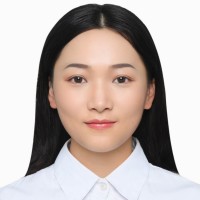 Vmax Electronic Technology Co., Limited K.