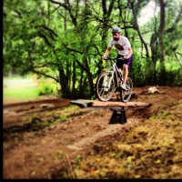Josh Willis