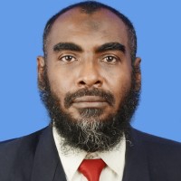 NADIR ABDELRAHEEM