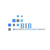 Business Intelligence Bridge