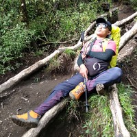 Galuh Nasution