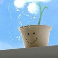 红雪左