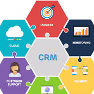Marketing Executive