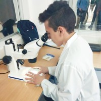 Camilo Alejandro Álvarez