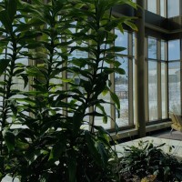 Ericka Enriquez