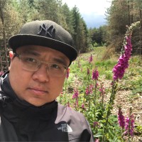 Wilson Tang