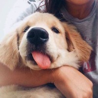 沈玲玲