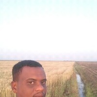 عبدالصادق عبدالله محمد مختار