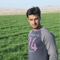 amir dadashizadeh