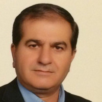 Jalil Sarvizadeh